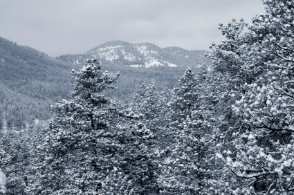 Study Finds Colorado Ski Towns Have Highest Premiums In US