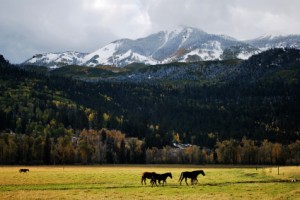 Colorado's 2014-2015 Open Enrollment & Renewal Season Nears